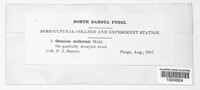 Image Associated With the Occurence